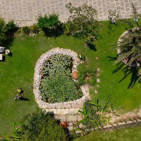 Nimfea إياليسوس