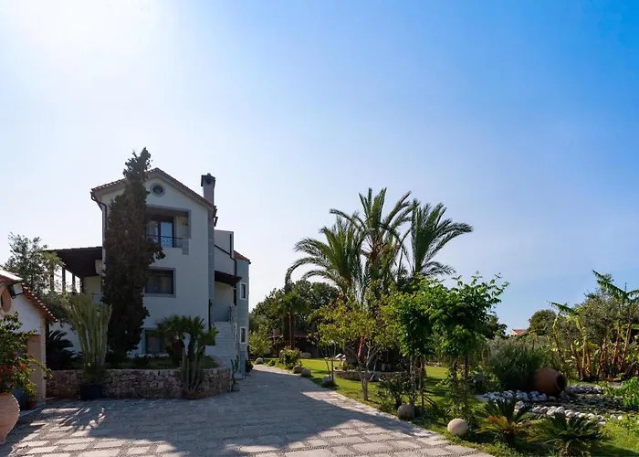 Nimfea إياليسوس