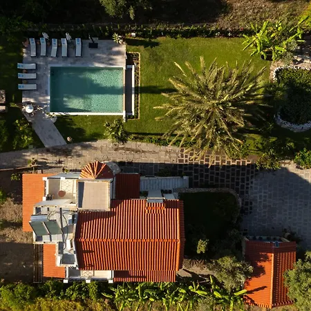 Nimfea Villa Ialysos (Rhodes)